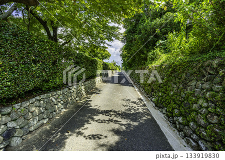 出水麓 三原小路 鹿児島県出水市 出水麓 三原小路 鹿児島県出水市 133919830