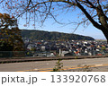 丘から見渡す街並み 133920768