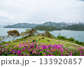 Rajjaprabha Dam or Cheow Lan Dam in Surat Thani Province, Thailand 133920857
