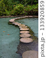 Ban Nam Rad Forested watersheds in Surat Thani, Thailand. 133920859