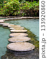 Ban Nam Rad Forested watersheds in Surat Thani, Thailand. 133920860