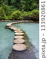 Ban Nam Rad Forested watersheds in Surat Thani, Thailand. 133920861