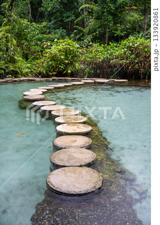 Ban Nam Rad Forested watersheds in Surat Thani, Thailand. 133920861