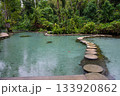Ban Nam Rad Forested watersheds in Surat Thani, Thailand. 133920862