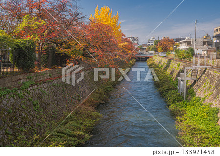 晩秋の琵琶湖疏水　京都市 133921458