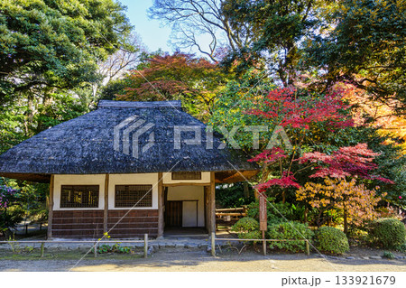 東京都　小石川後楽園　九八屋　紅葉の風景　国の特別史跡 133921679