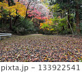 色とりどりの紅葉と落ち葉が広がる静かな秋の森の風景 133922541
