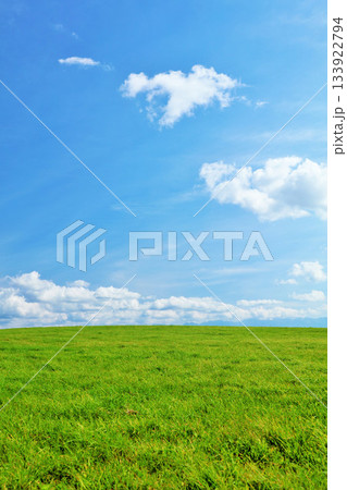 北海道　夏の青空と新緑の草原風景 133922794