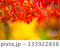 紅葉の背景素材 133922838