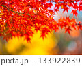 紅葉の背景素材 133922839