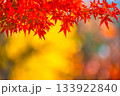 紅葉の背景素材 133922840