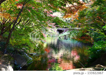 徳川園の秋の風情 133922867