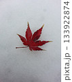 雪の上に落ちた紅葉 133922874