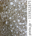 雪の模様 133922875