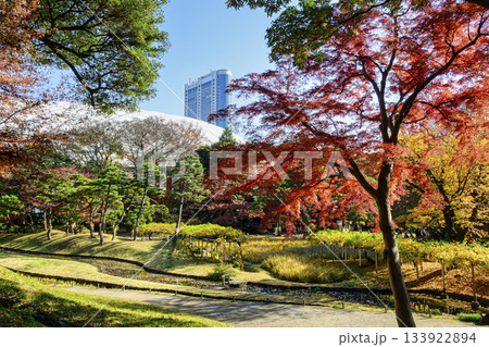 東京都 小石川後楽園 不老水、藤棚、花菖蒲田付近 紅葉の風景 国の特別史跡 東京都 小石川後楽園 不老水、藤棚、花菖蒲田付近 紅葉の風景 国の特別史跡 133922894