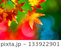 鮮やかな紅葉 133922901