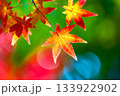 鮮やかな紅葉 133922902