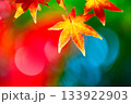 鮮やかな紅葉 133922903