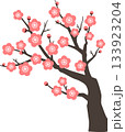 梅の花・木 133923204