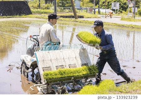 田植え機にマット苗をセットする作業員男性 田植え機にマット苗をセットする作業員男性 133923239