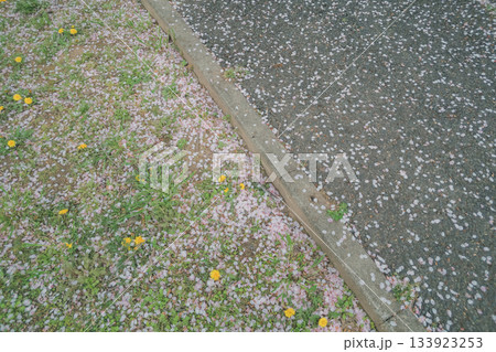 various various 133923253
