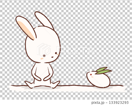 Snow rabbit and bunny illustration Snow rabbit and bunny illustration 133923293
