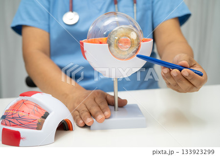 Asian doctor with eye human anatomy model for study diagnosis and treatment in hospital. Asian doctor with eye human anatomy model for study diagnosis and treatment in hospital. 133923299