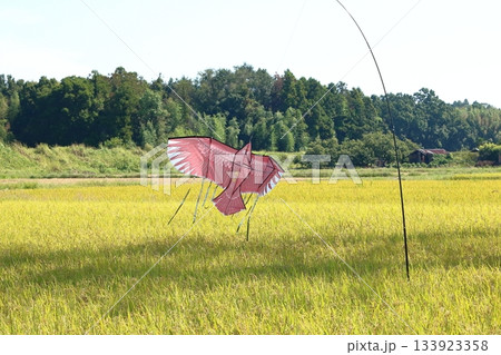秋風を受けてのんびりと空を舞う鳥よけカイト 133923358