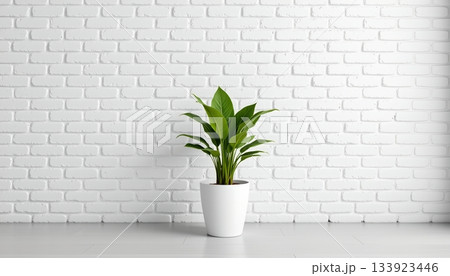 A simple yet elegant interior design A simple yet elegant interior design 133923446
