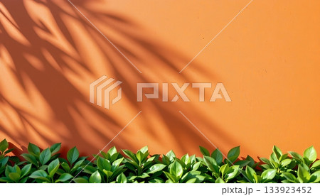 An outdoor scene featuring a vibrant orange wall and a lush green hedge planted in front of it An outdoor scene featuring a vibrant orange wall and a lush green hedge planted in front of it 133923452