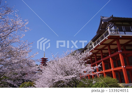基山町 本福寺 桜満開の観音堂と五重塔 基山町 本福寺 桜満開の観音堂と五重塔 133924051