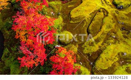 【AI生成画像】上から見る味わいのある秋の紅葉 133924128