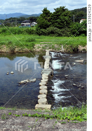 盛夏の都幾川、涼やかな水辺の遊歩道  133924129