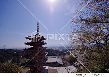 基山町 本福寺五重塔 御廟への石段より 基山町 本福寺五重塔 御廟への石段より 133924150