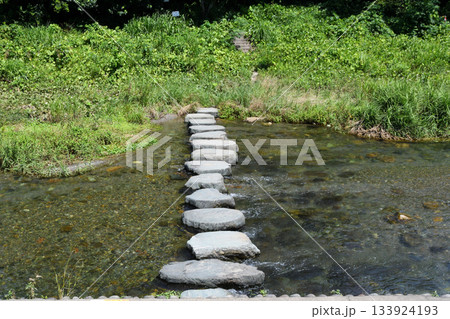 盛夏の都幾川、涼やかな水辺の遊歩道  133924193