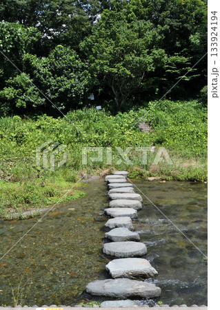 盛夏の都幾川、涼やかな水辺の遊歩道  133924194