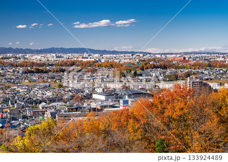 《東京都》一面に広がる住宅街・東京近郊エリア 133924489