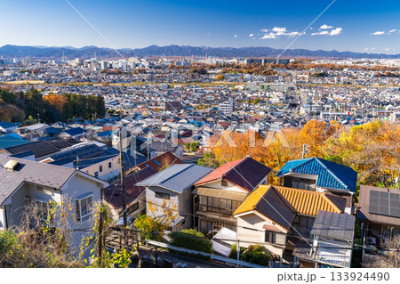 《東京都》一面に広がる住宅街・東京近郊エリア 《東京都》一面に広がる住宅街・東京近郊エリア 133924490