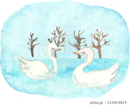 白鳥の水彩イラスト ベクター 白鳥の水彩イラスト ベクター 133924625