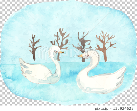 天鵝水彩插畫向量圖 133924625