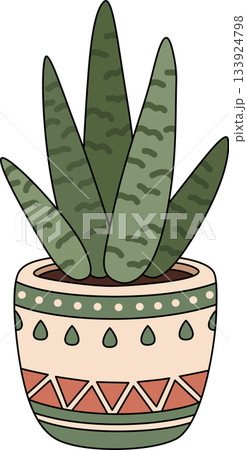 Boho Succulent Plant in Decorative Geometric Terracotta Pot Illustration 133924798