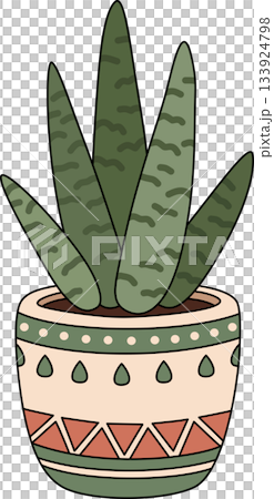 Boho Succulent Plant in Decorative Geometric Terracotta Pot Illustration 133924798