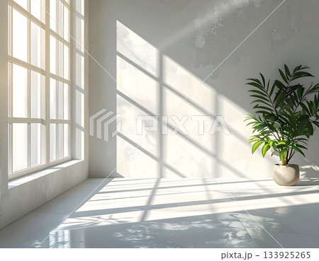 窓からの日差しが入ってくる無人の部屋 133925265