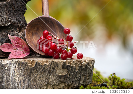 Viburnum opulus berries in a wooden spoon on a tree stump Viburnum opulus berries in a wooden spoon on a tree stump 133925530