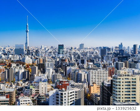 東京 スカイツリーと文京区・墨田区広域 東京 スカイツリーと文京区・墨田区広域 133925632