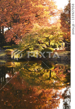 秋映え庭園 133927058