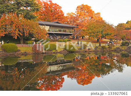 秋の庭園 133927061