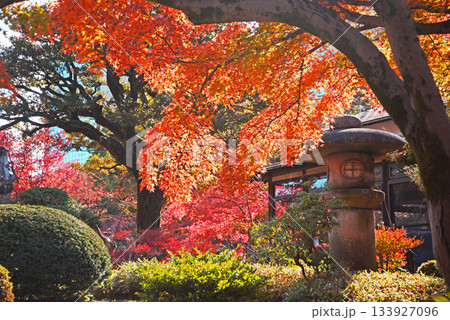 紅葉庭園 紅葉庭園 133927096