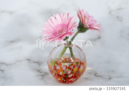 暖色でガラスの一輪挿しに挿した二輪の桃色のガーベラの花(中央配置) 暖色でガラスの一輪挿しに挿した二輪の桃色のガーベラの花(中央配置) 133927191