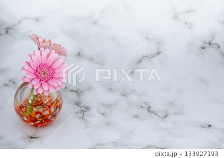 暖色でガラスの一輪挿しに挿した二輪の桃色のガーベラの花(左下配置) 暖色でガラスの一輪挿しに挿した二輪の桃色のガーベラの花(左下配置) 133927193